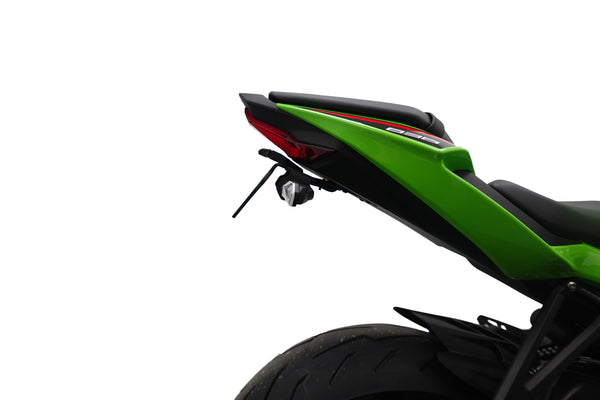 Kawasaki ninja online 300 tail tidy