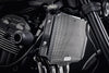 Evotech Kawasaki Z900RS Performance Radiator Guard (2018 - 2020) (Stainless Steel)